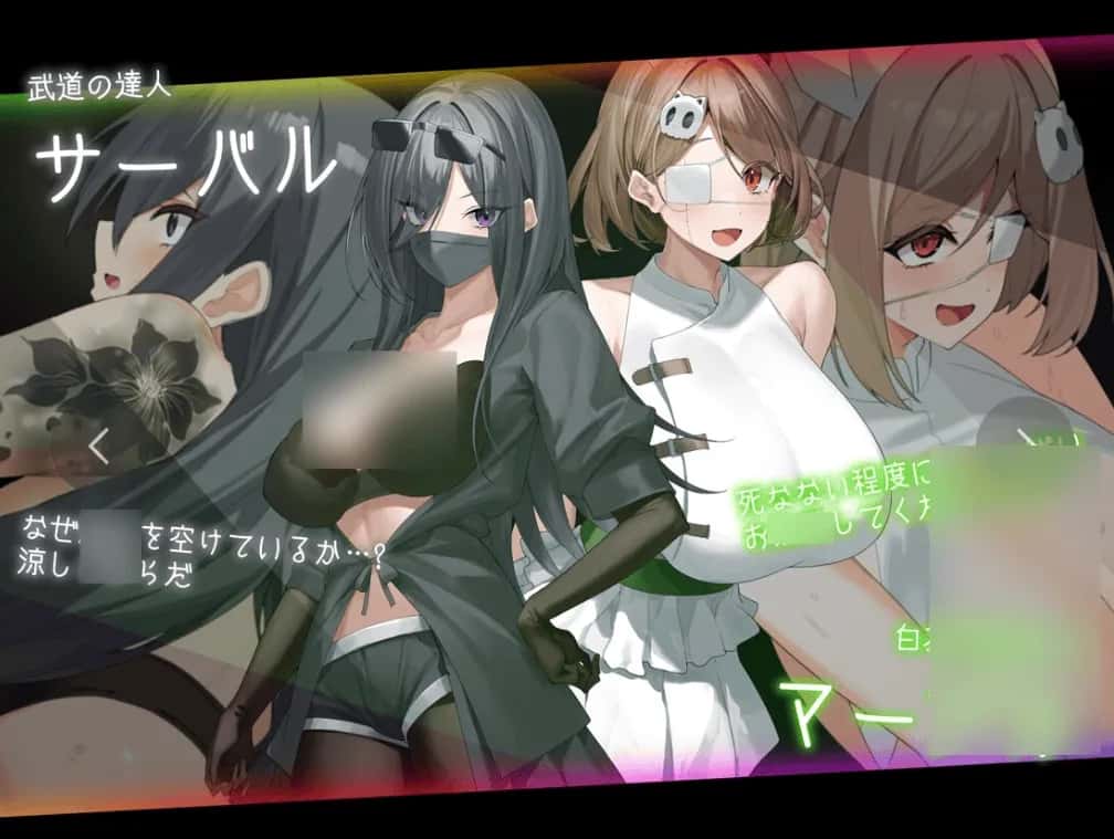 PC/ 盗贼猫的秘密记录 ドロケイ V1.0.1 精翻 版 6G封面